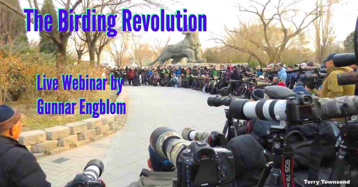 Birding Revolution Webinar Highlights