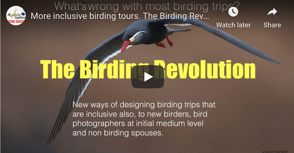 The perfect birding tour for someone who has never been on a birding tour before.